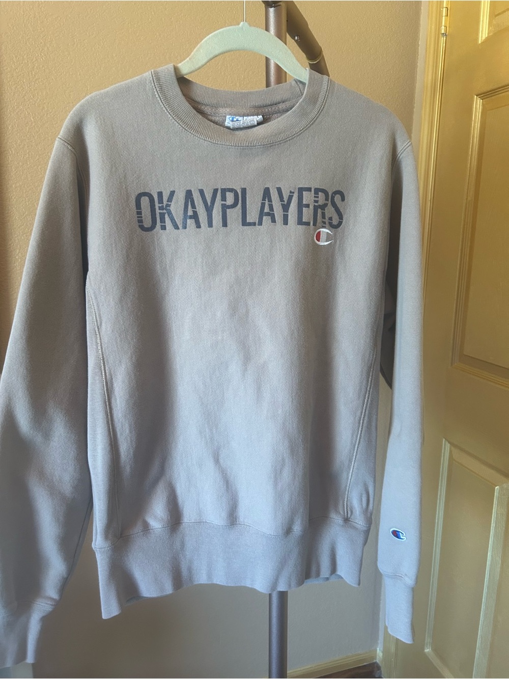 Champion Sweatshirt.
